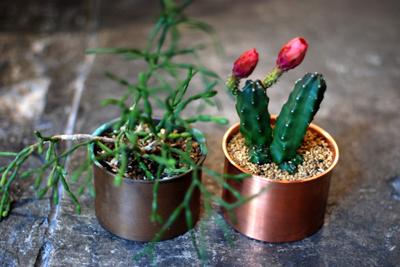 銅の植木鉢 | LIFETIME & Co.
