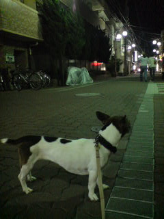 080506_1939~01.jpg