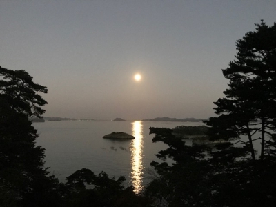 image1.jpeg