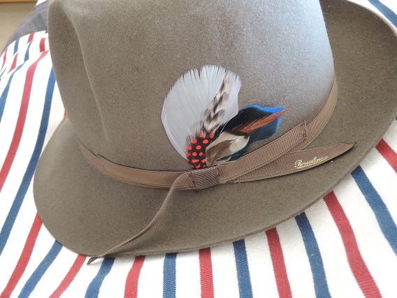 Borsalino with Feather Pins (2).JPG