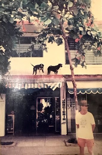 ¥á¥¥·¥³ 1999ǯ(2).jpg