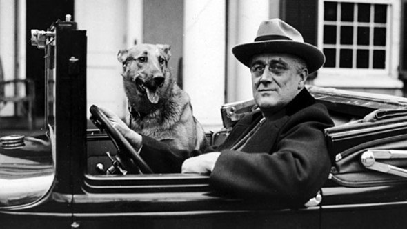Franklin Delano Roosevelt with his Dog.jpg