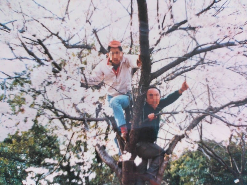 1985ǯ²Ö¸« (·ÇºÜ).jpg