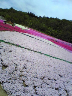 090507_sss