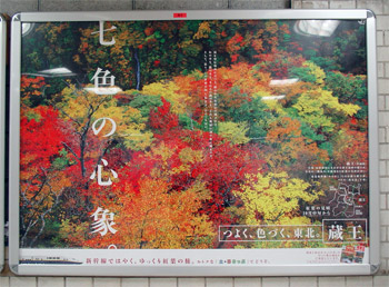 紅葉の蔵王