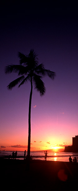 image photo
