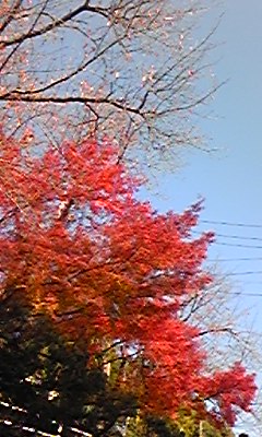 091126_114628.jpg