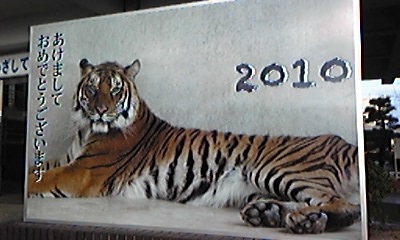 100106_153905_ed.jpg