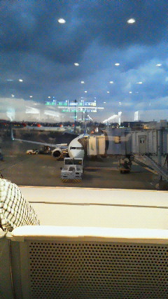 201111071648000.jpg