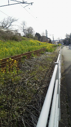 201203291531001.jpg