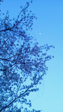 201204011834000.jpg