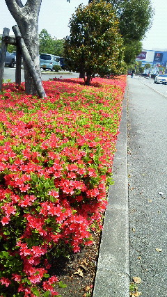 201204241146000.jpg