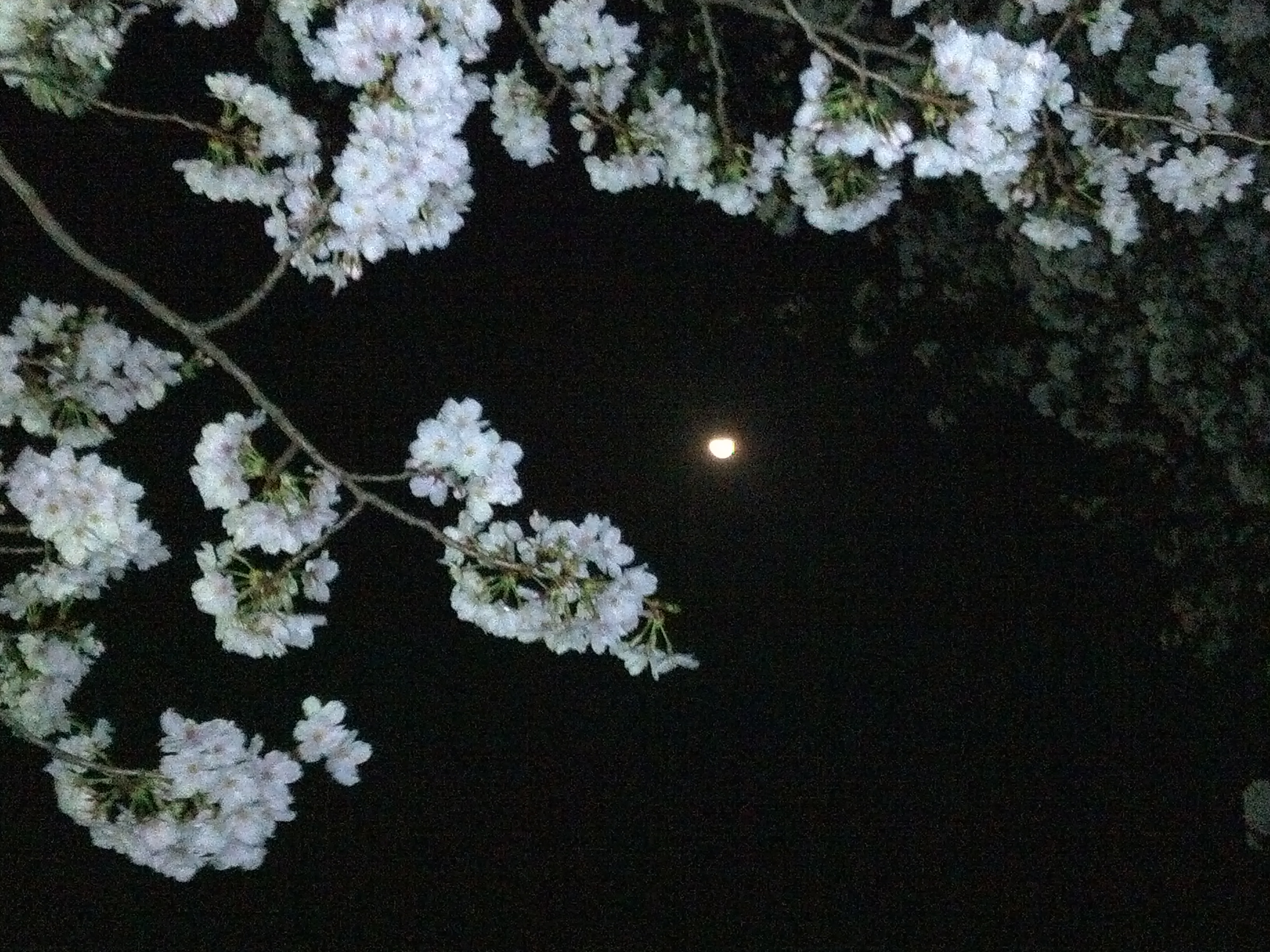 IMG00282.jpg