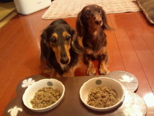 20101218182017.jpg