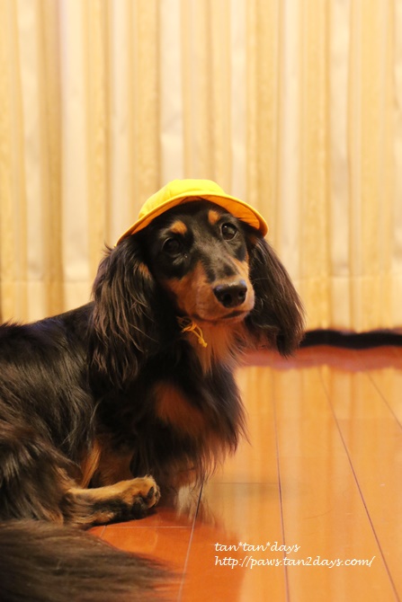 3L6A8435.JPG