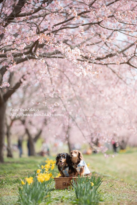 0P8A6535.jpg