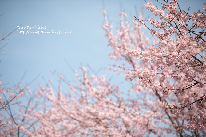 0P8A6776.jpg