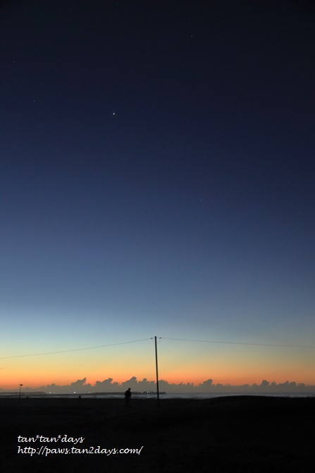 2B1A6584.JPG