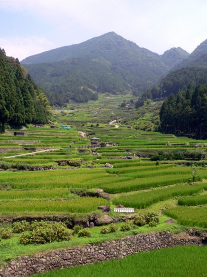 四谷千枚田
