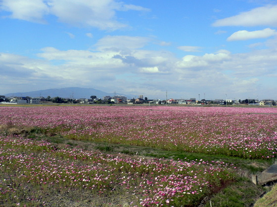 木曽三川