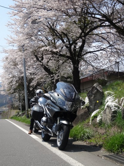 BMW R1200RT ¿åÎä & F800GT