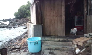 20110626151626.jpg