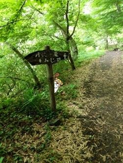 大子【月待の滝】3.jpg