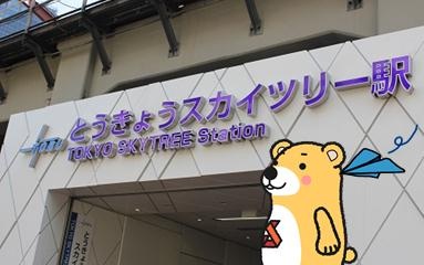 ベル紙飛行機.jpg