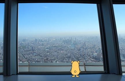 450m展望.jpg