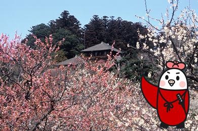 梅の里.jpg