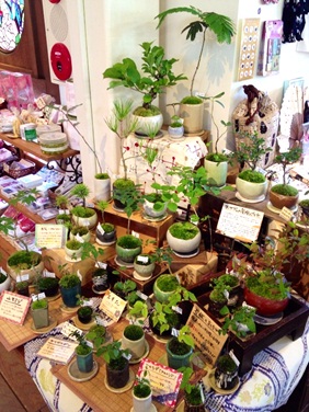 maplefarm店内4.jpg