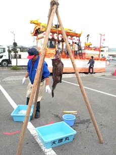 おさかなセンター7.jpg