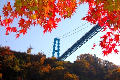 竜神大吊橋2.jpg