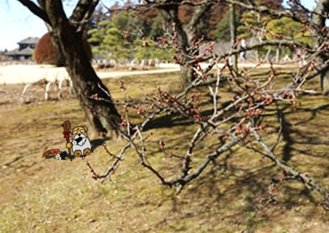 節分5.jpg