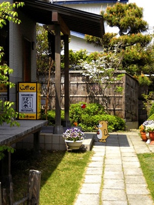 花水木2.jpg