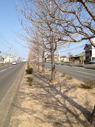 交通量9.jpg