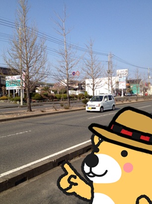 交通量10.jpg