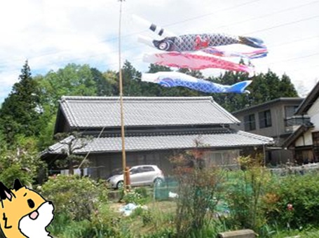 笠間兄弟7.jpg