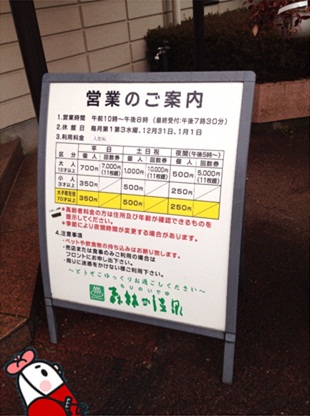 森林の温泉4.jpg