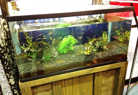 森林の温泉12.jpg