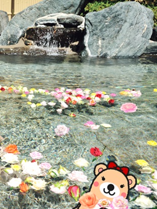 森林の温泉26.jpg
