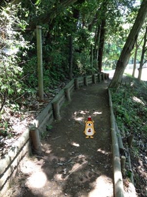 七ツ洞35.jpg