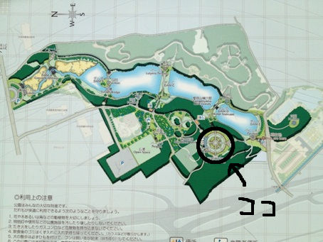 七ツ洞45.jpg