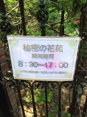 七ツ洞2-5.jpg