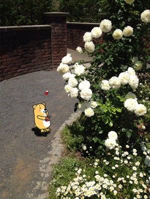 七ツ洞2-11.jpg