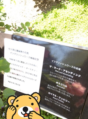 七ツ洞2-14.jpg