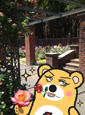 七ツ洞2-23.jpg