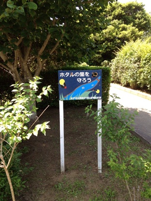 七ツ洞2-42.jpg