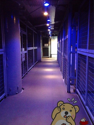 星空カフェ37.jpg