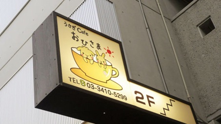 ¤ª¤Ò¤µ¤Þ2-1.jpg